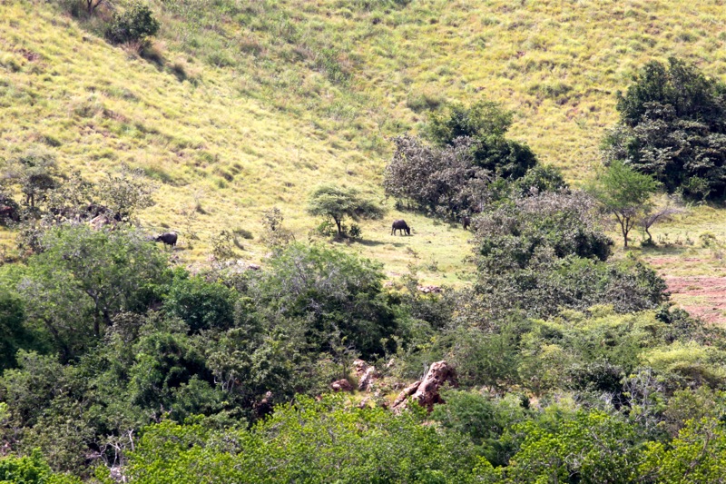 Photographer:Juergen Stamms