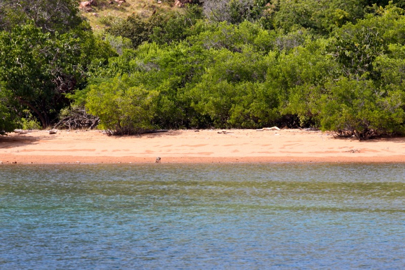 Photographer:Juergen Stamms