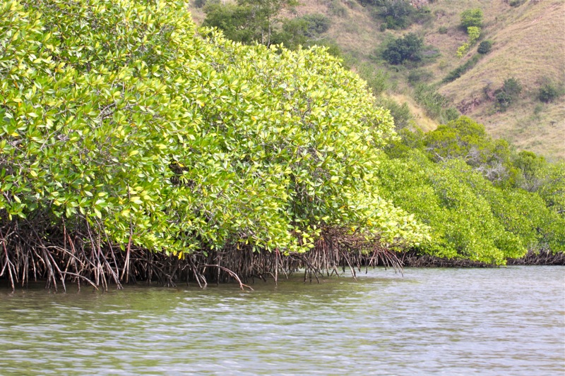 Photographer:Juergen Stamms