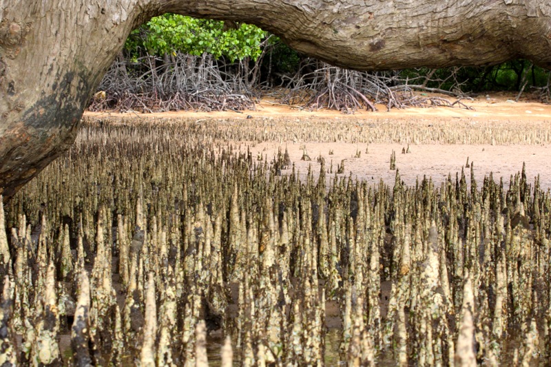 Photographer:Juergen Stamms