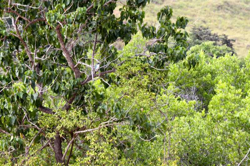 Photographer:Juergen Stamms