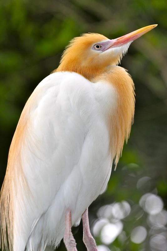 Photographer:Juergen Stamms