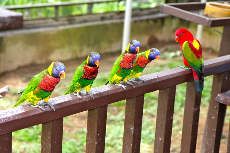 Photographer:Juergen Stamms