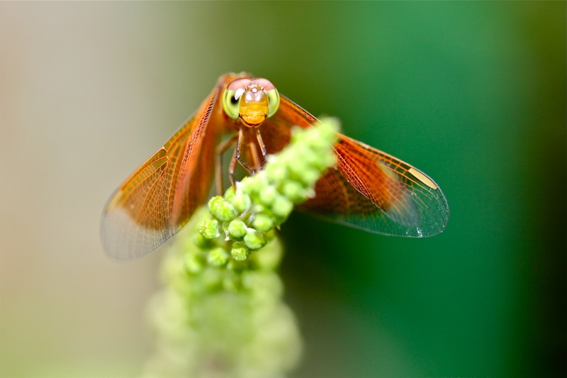 Photographer:Juergen Stamms