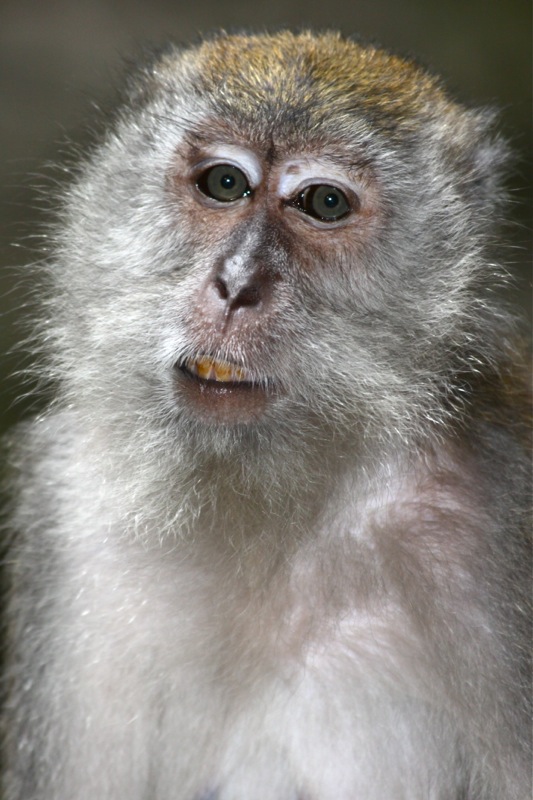 Photographer:Juergen Stamms