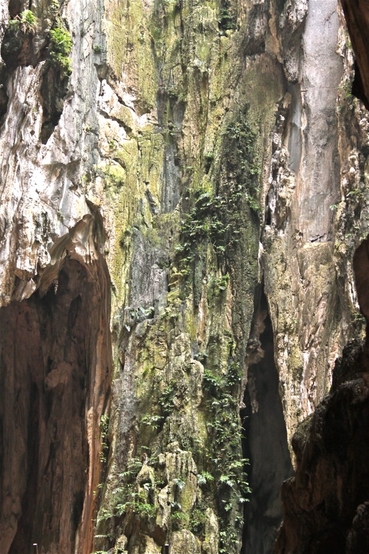 Photographer:Juergen Stamms