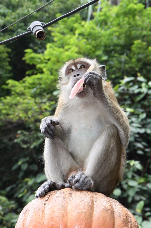 Photographer:Juergen Stamms