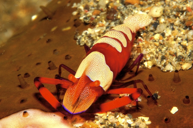 Photographer:Juergen Stamms