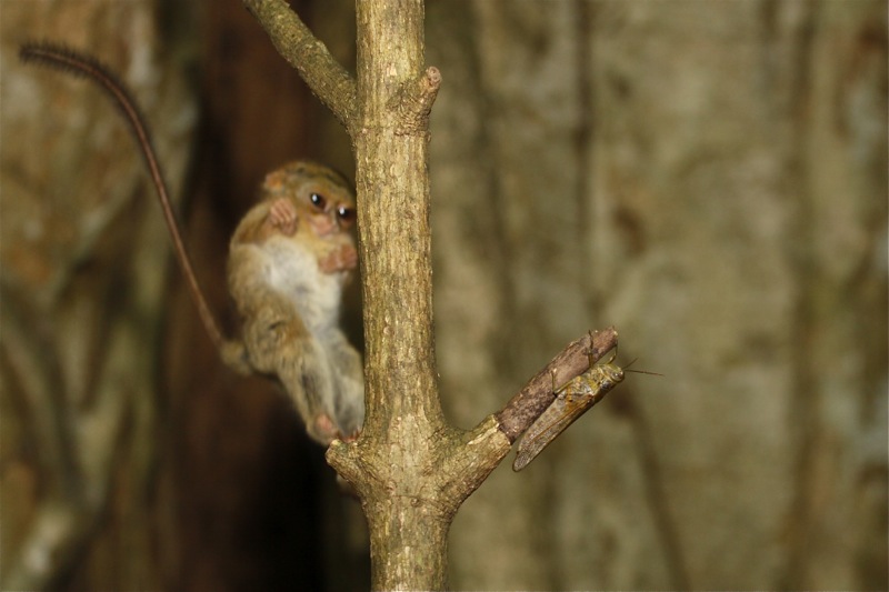 Photographer:Juergen Stamms