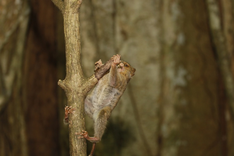 Photographer:
Juergen Stamms