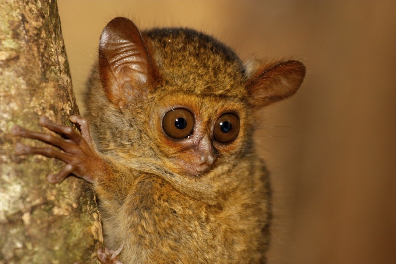 Photographer:Juergen Stamms