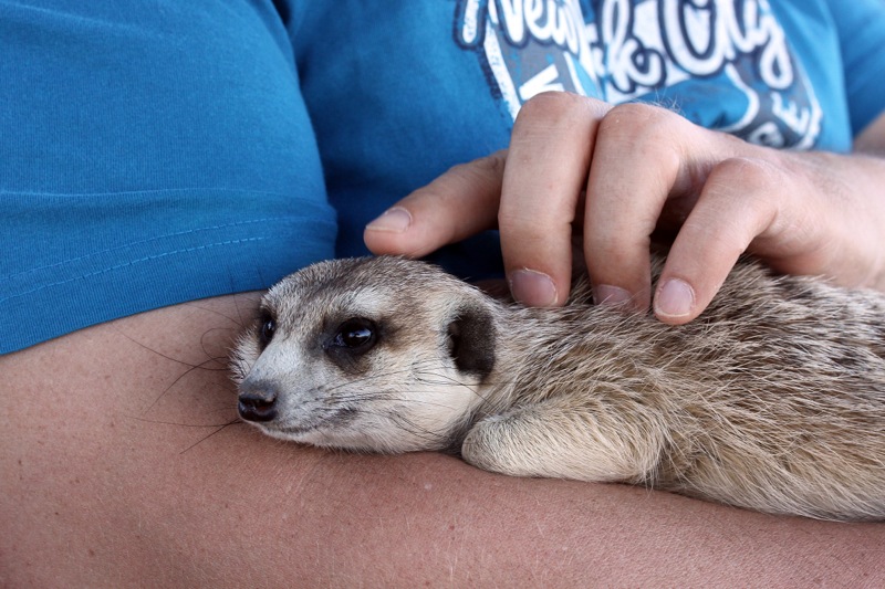 Photographer:
Juergen Stamms