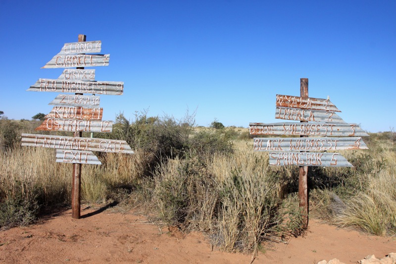 Photographer:
Juergen Stamms