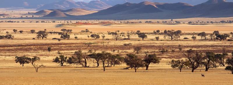 Photographer:
Juergen Stamms