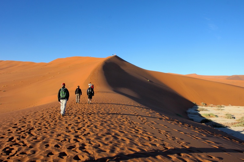 Photographer:
Juergen Stamms