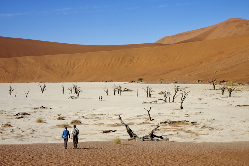 Photographer:
Juergen Stamms