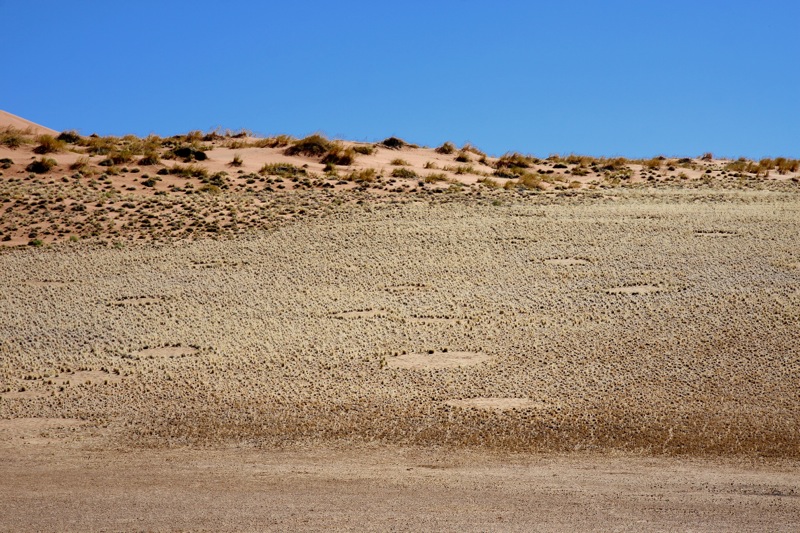 Photographer:
Juergen Stamms