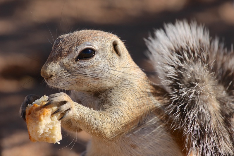 Photographer:
Juergen Stamms