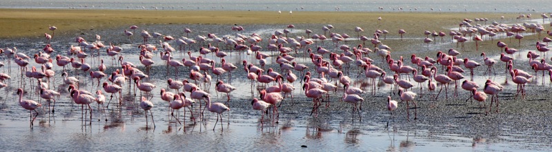 Photographer:
Juergen Stamms