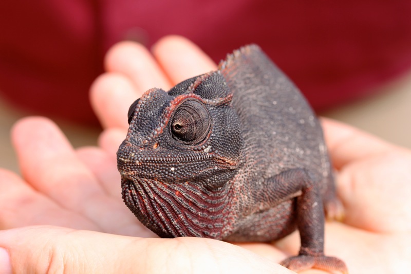 Photographer:
Juergen Stamms