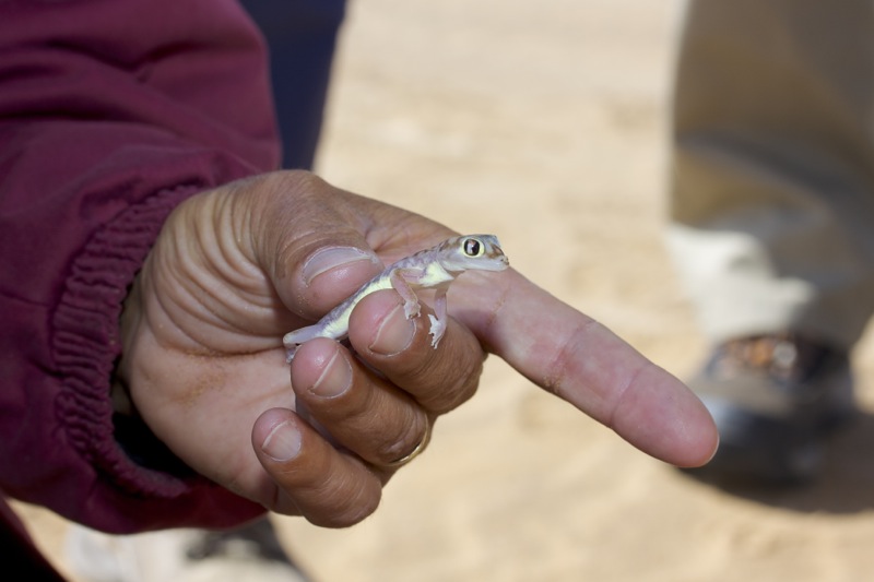 Photographer:
Juergen Stamms