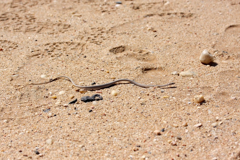 Photographer:
Juergen Stamms