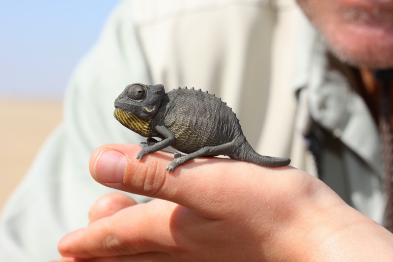 Photographer:
Juergen Stamms