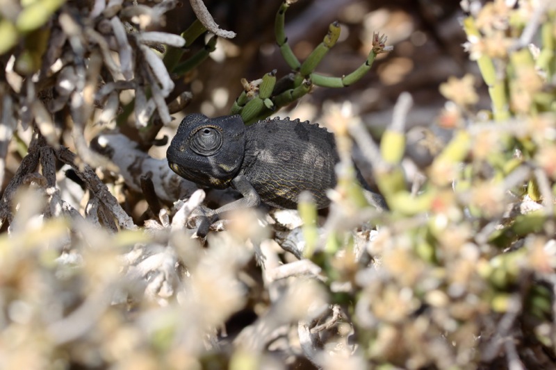 Photographer:
Juergen Stamms