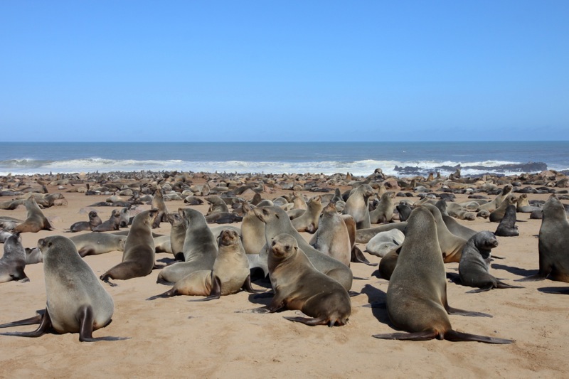 Photographer:
Juergen Stamms