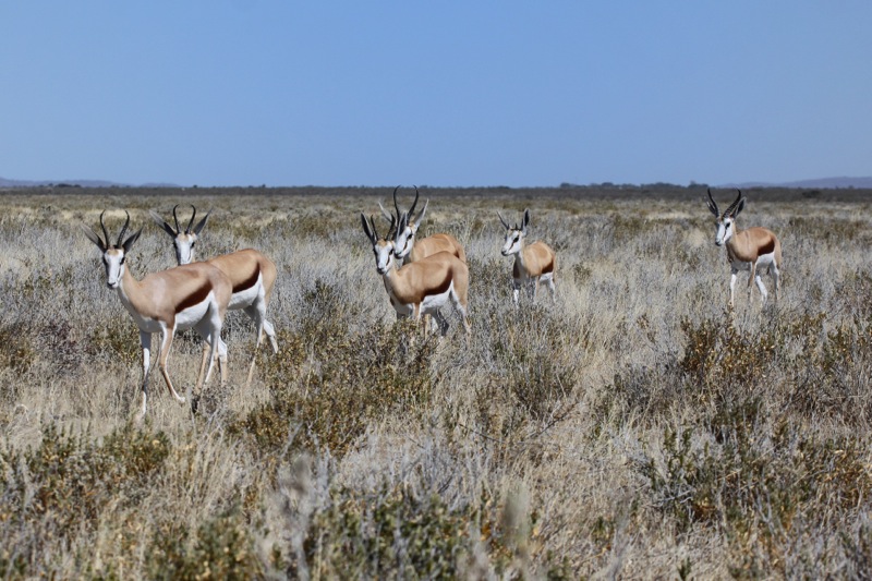Photographer:
Juergen Stamms