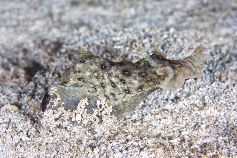 Photographer:
Juergen Stamms