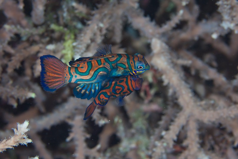 Photographer:
Juergen Stamms