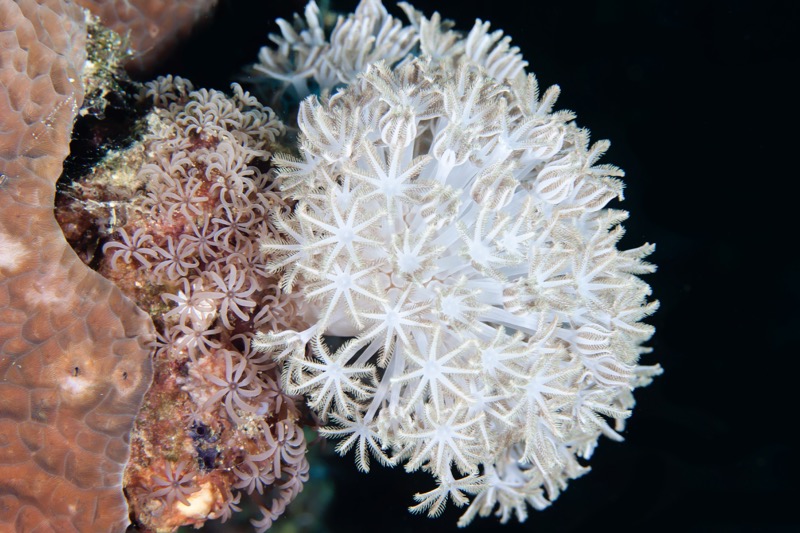 Photographer:
Juergen Stamms