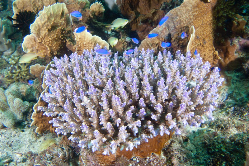 Photographer:
Juergen Stamms