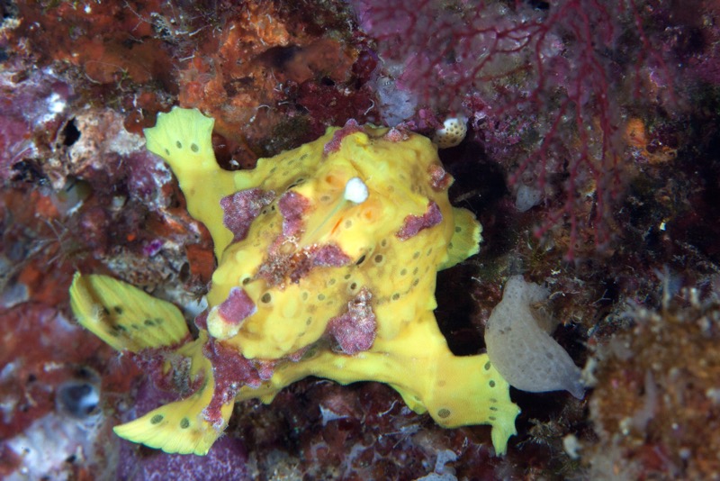 Photographer:
Juergen Stamms