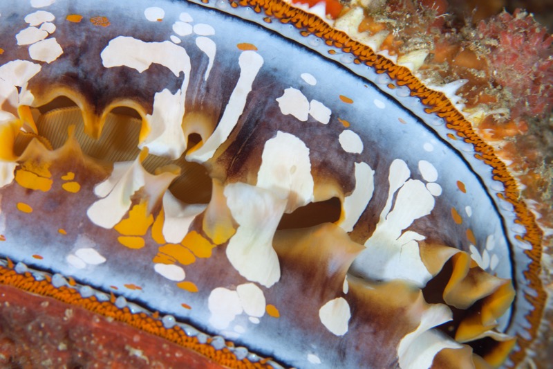 Photographer:
Juergen Stamms