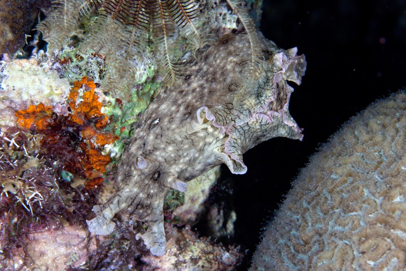 Photographer:
Juergen Stamms