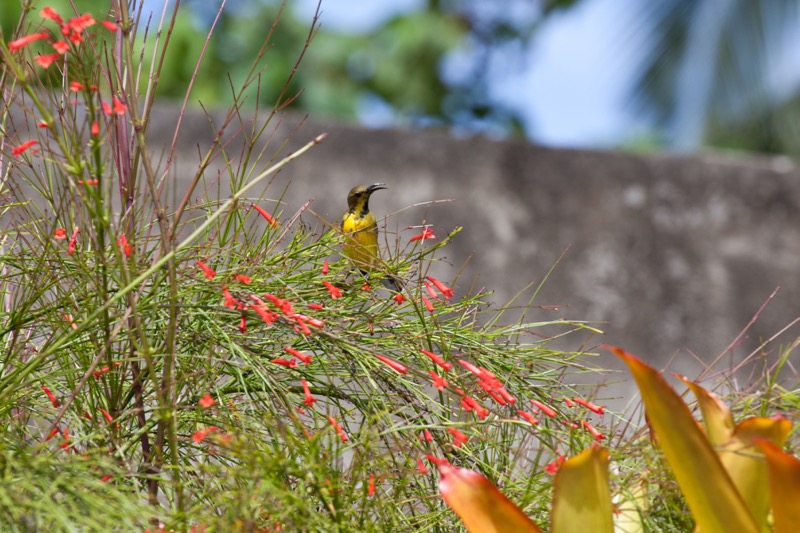 Photographer:
Juergen Stamms