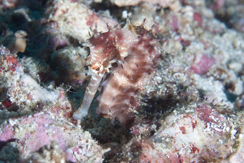 Photographer:
Juergen Stamms