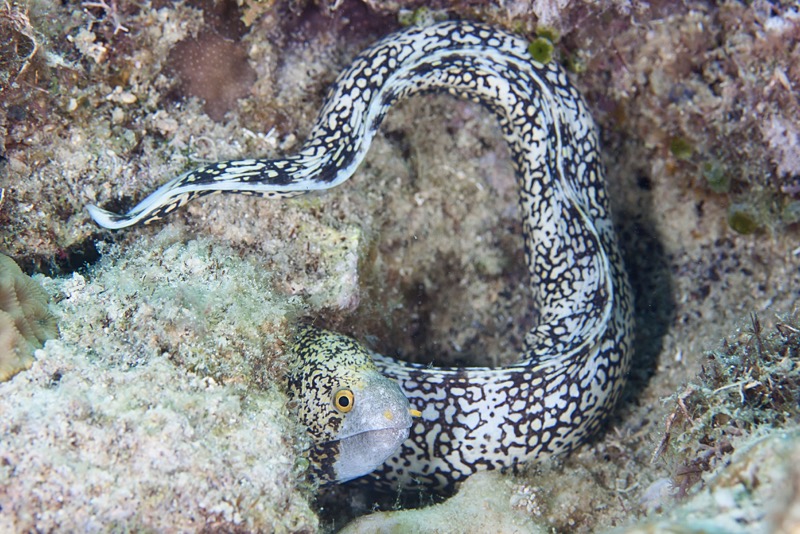 Photographer:
Juergen Stamms