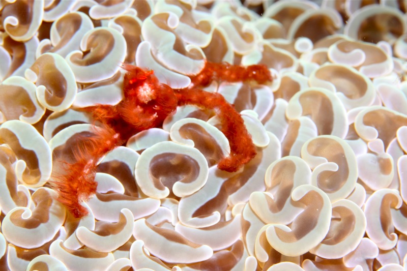 Photographer:Juergen Stamms