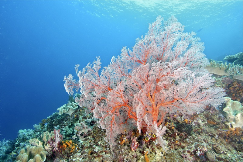 Photographer:Juergen Stamms