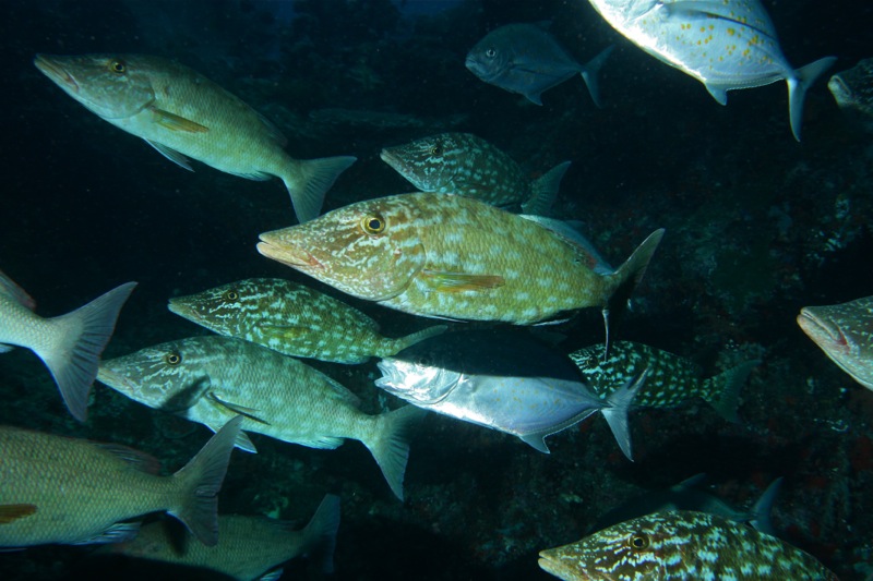 Photographer:Juergen Stamms