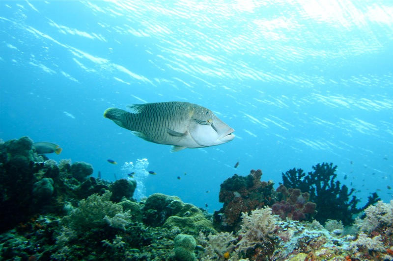 Photographer:Juergen Stamms