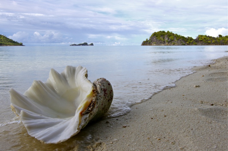 Photographer:Juergen Stamms