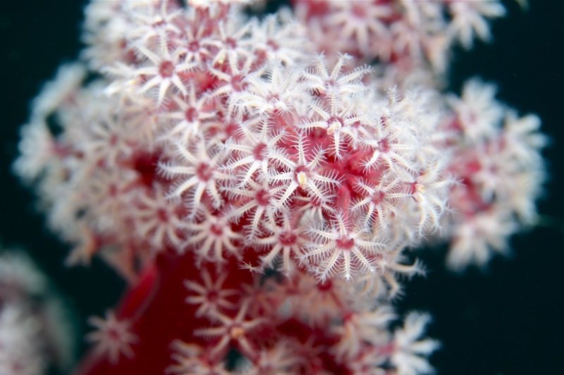 Photographer:Juergen Stamms