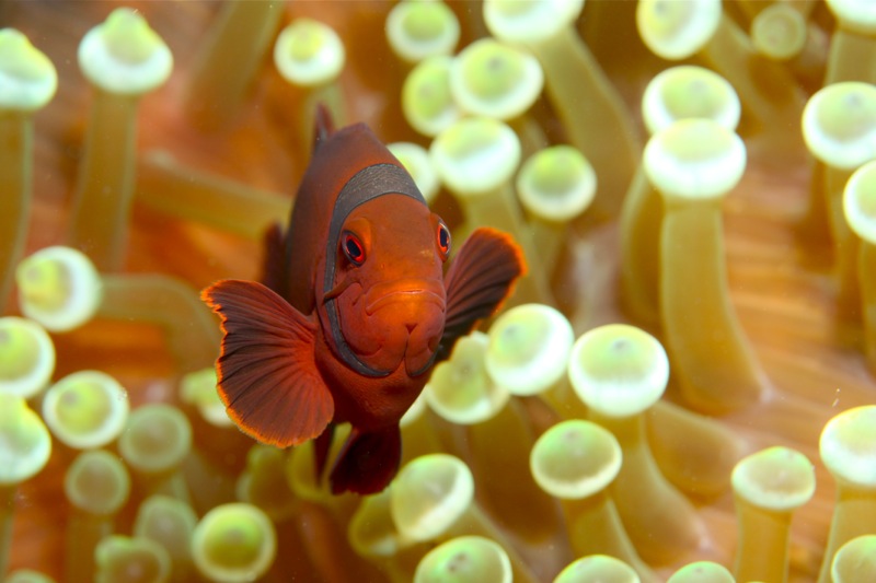 Photographer:Juergen Stamms