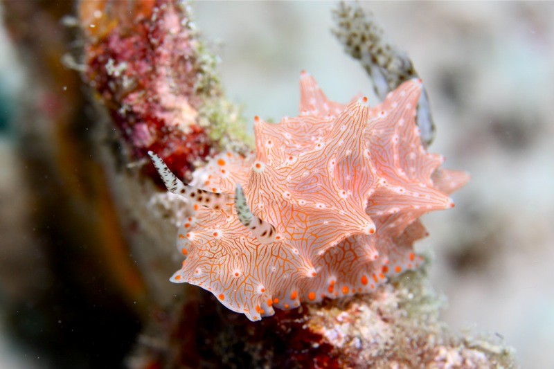 Photographer:Juergen Stamms