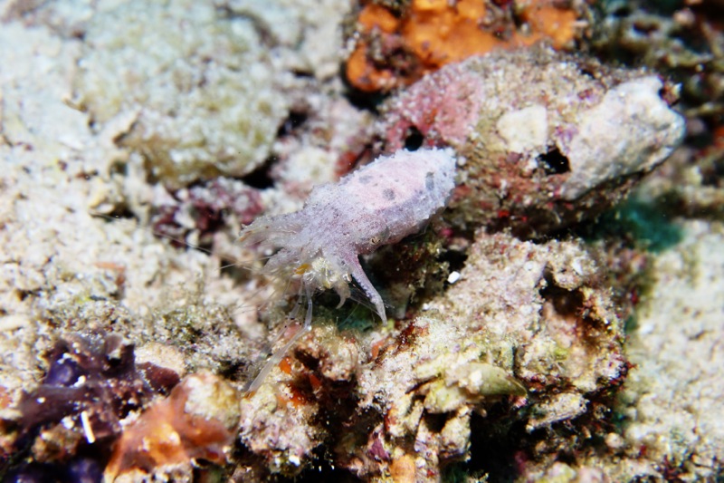 Photographer:Juergen Stamms