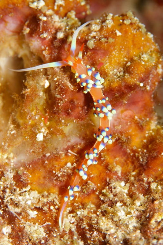 Photographer:Juergen Stamms